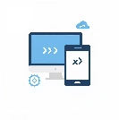 Web & App Development